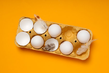 Ingredient for cooking dishes- eggs, top viewの写真素材