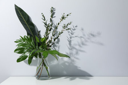 Concept of summertime, leaves, summer and nature conceptの写真素材