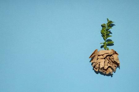 Earth Day, Environment and Eco concept, space for textの写真素材
