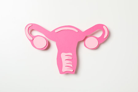 Women's health and women's healthcare concept with uterusの写真素材