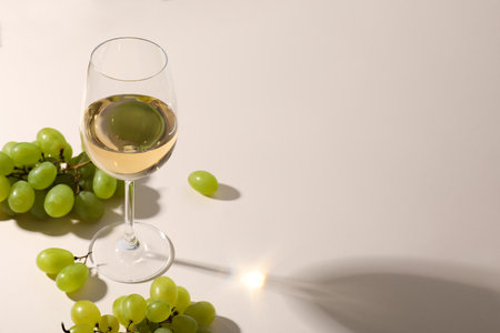 Concept of alcohol drink, wine, space for textの写真素材