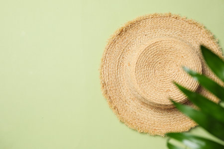 Concept of summertime, leaves, summer and nature conceptの写真素材