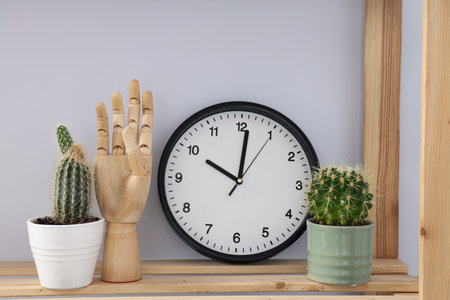 Cozy hobby - growing indoor plants at homeの写真素材