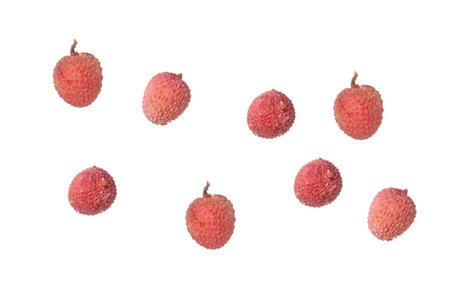 Concept of tasty and delicious exotic fruit - Lychee, isolated on white backgroundの写真素材