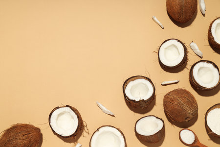 Composition for summer concept with coconut on beige backgroundの写真素材