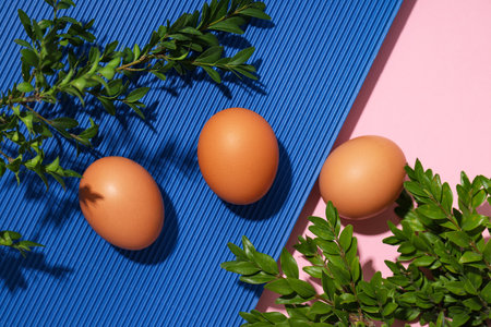 Ingredient for cooking dishes- eggs, top view