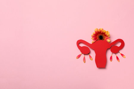 Women's health and women's healthcare concept with uterusの写真素材