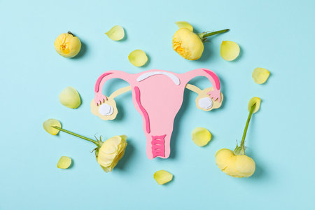 Women's health and women's healthcare concept with uterusの写真素材