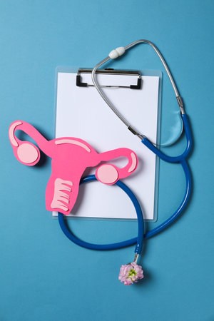 Women's health and women's healthcare concept with uterusの写真素材