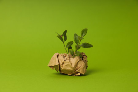 Earth Day, Environment concept and Eco conceptの写真素材