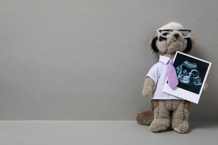 Concept of pregnancy and maternity, space for textの写真素材