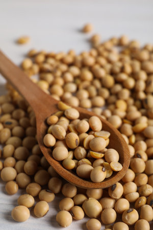 Wooden spoon with soy seeds, close upの写真素材