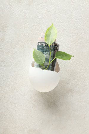 Composition with egg shell and money - retirementの写真素材