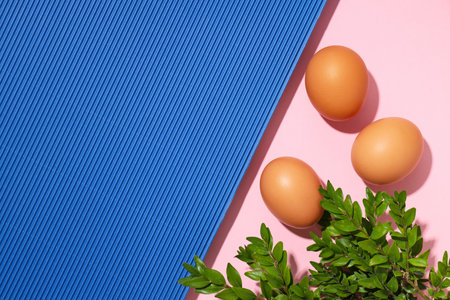 Ingredient for cooking - eggs, space for textの写真素材