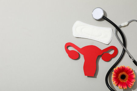 Women's health and women's healthcare concept with uterusの写真素材