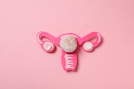 Women's health and women's healthcare concept with uterusの写真素材