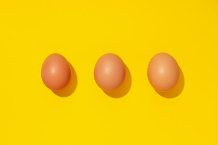 Ingredient for cooking dishes- eggs, top viewの写真素材