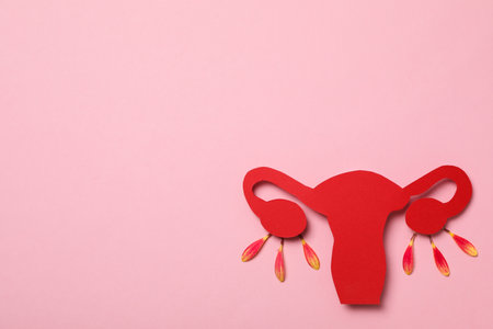 Women's health and women's healthcare concept with uterusの写真素材