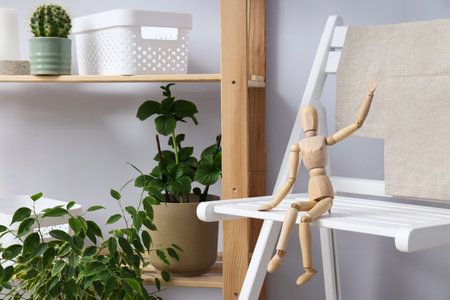 Cozy hobby - growing indoor plants at homeの写真素材