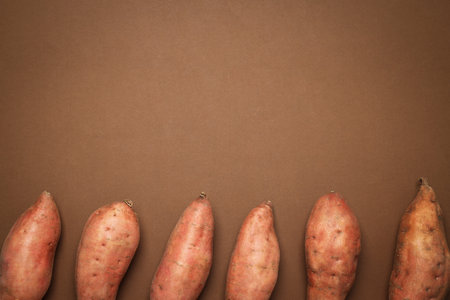 Concept of vegetables, sweet potato, space for textの写真素材