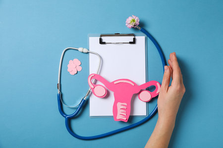 Women's health and women's healthcare concept with uterusの写真素材