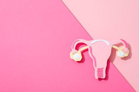 Women's health and women's healthcare concept with uterusの写真素材