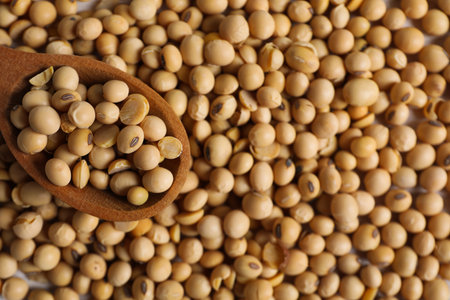 Wooden spoon with soy seeds, close upの写真素材
