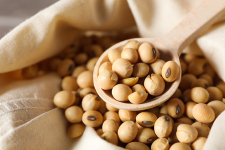 Wooden spoon with soy seeds, close upの写真素材