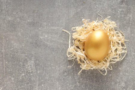 Golden egg, pension savings, investments, retirement, space for textの写真素材