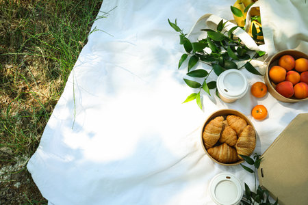 Spending time in nature - picnic, accessories for picnicの写真素材