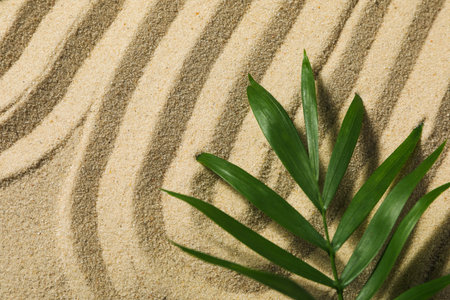 Composition for Zen, Relaxation, Harmony and Balance conceptの写真素材