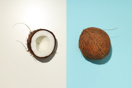 Composition for summer concept with coconut on two tone backgroundの写真素材