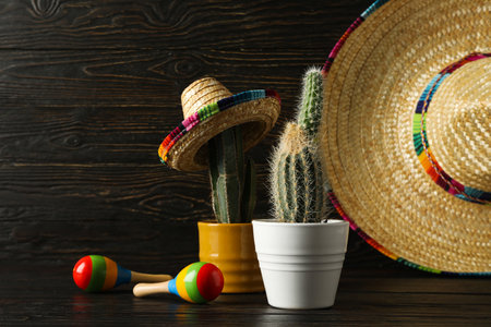 Composition for Cinco de Mayo - Mexican National Holiday