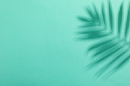 Summer time vibes image, vacation and rest in summer daysの写真素材