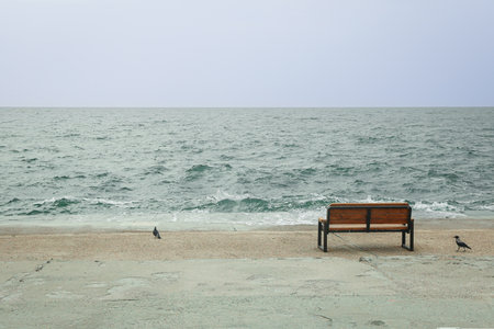 Sea view with bench, space for textの写真素材