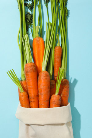 Fresh carrot, concept of harvest, top viewの写真素材
