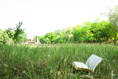 Spending time in nature - picnic, accessories for picnic