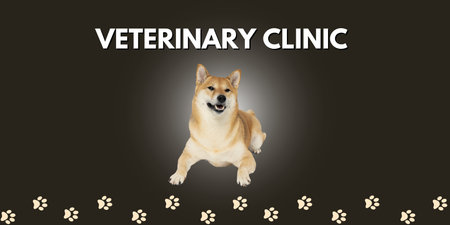 Image for advertising of Veterinary clinic with cute dogの写真素材