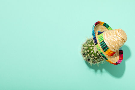 Composition for Cinco de Mayo concept, space for textの写真素材