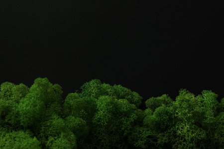 Moss, space for text, concept of different backgrounds