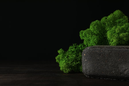 Moss, space for text, concept of different backgroundsの写真素材