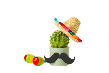 Concept of Cinco de mayo, isolated on white backgroundの写真素材
