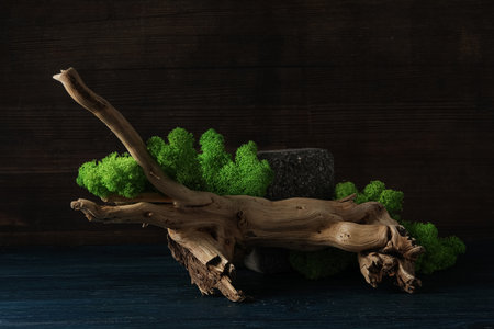 Moss, different backgrounds for nature concept, moss and wood, moss and stonesの写真素材