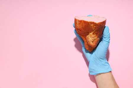 Concept of tasty food, meat, Ham, space for textの写真素材