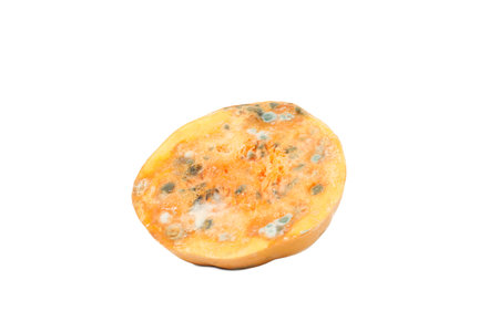 Pumpkin with mold isolated on white background