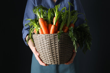 Fresh carrot, concept of harvest, harvest seasonの写真素材