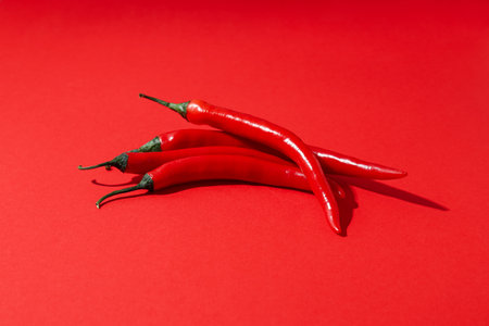 Concept of hot and spicy ingredients - red hot chili pepperの写真素材