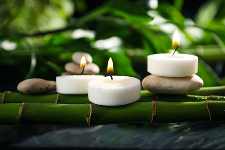 Concept of tropical and summer plant - bambooの写真素材