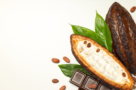 Concept of fresh and aromatic food - cacao beansの写真素材