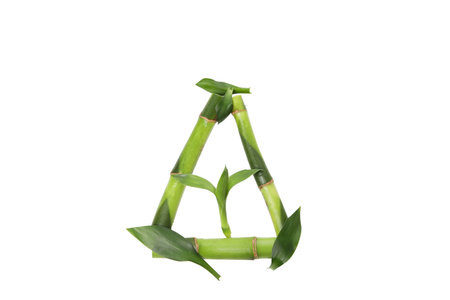 PNG, Concept of plant - bamboo, isolated on white backgroundの写真素材